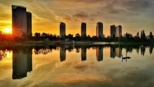 臺州刮起 物業(yè)革命 風,期待未來 理想家 生活