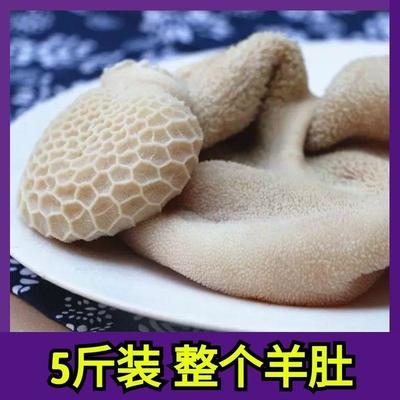 [羊肚批發(fā)]浙江臺(tái)州溫嶺市羊副產(chǎn)品 19.98元/斤商用羊肚鮮全 _ 一畝田