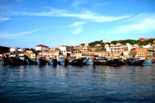 臺(tái)州大陳 “漁小二”便民服務(wù)不停步，助力海島生活更便捷