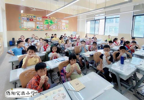 雙減政策下的溫度與深度 記暨陽(yáng)實(shí)驗(yàn)小學(xué)教育集團(tuán)聯(lián)盟課后服務(wù)與教育咨詢(xún)服務(wù)